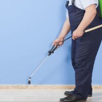 Make the Pest Control Process Easier in Roscoe With a Few Tips