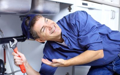Signs You Need Professional Drain Cleaning Auburn WA for a Healthy Home
