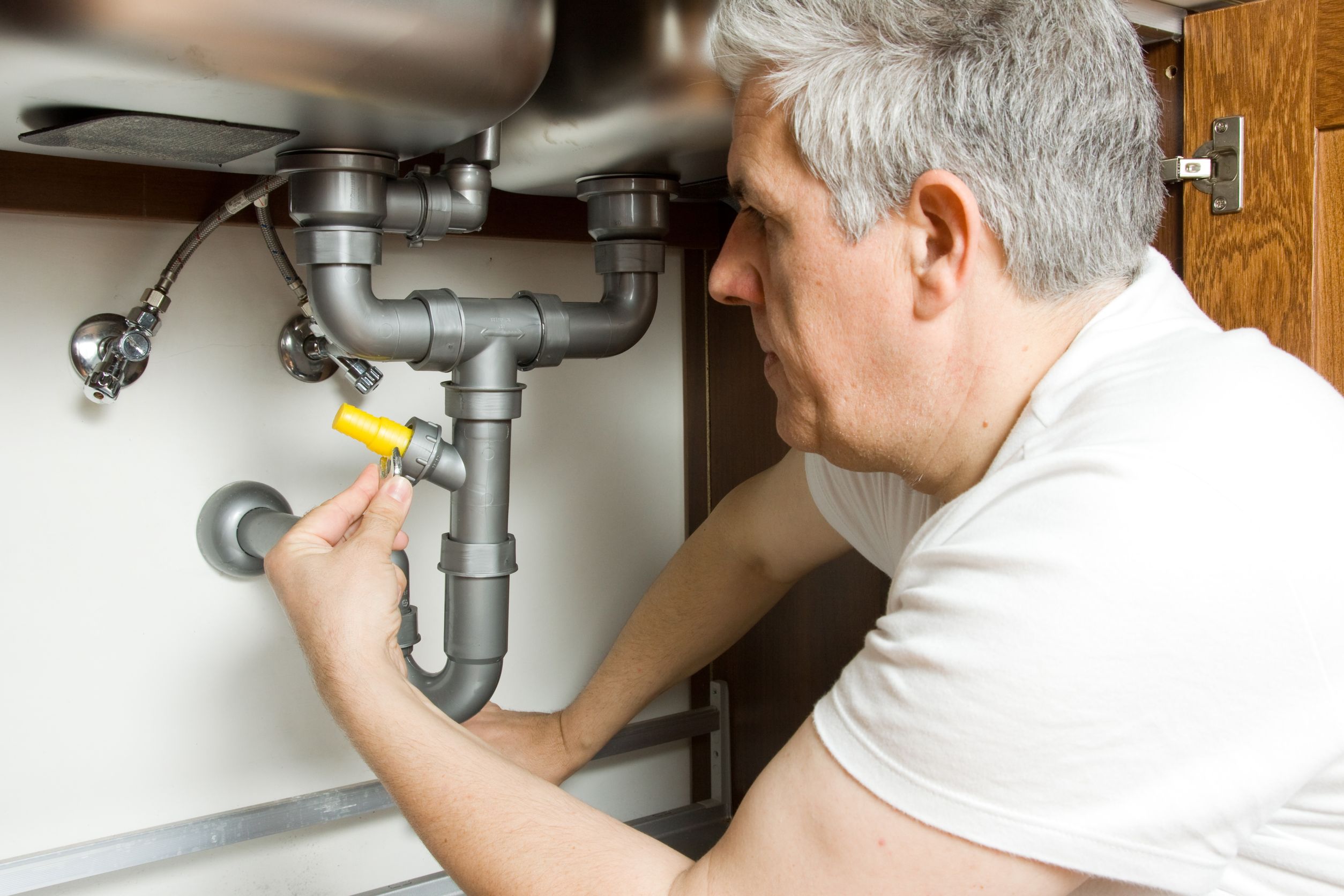 How to React and Who to Call When You Need an Emergency Plumber in Tampa FL